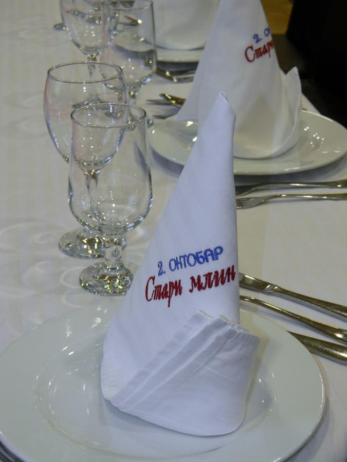 Stari Mlin Hotel Vrsac Zewnętrze zdjęcie